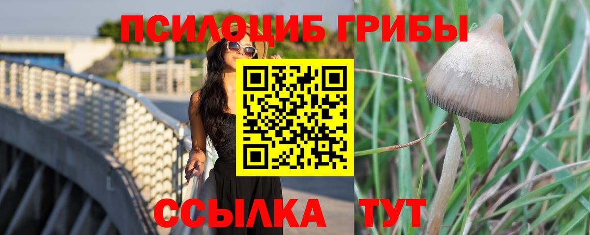 Галлюциногенные грибы мицелий  Вход с VPN  Волжский 